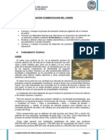 106666292 Informe de Lixiviacion y Cementacion de Cobre 2012 a Copia