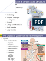 7a DigSys Ia - Organs and Structure