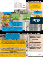 Sarcomera y Golpe de Fuerza