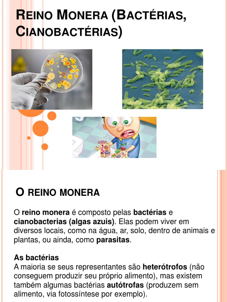 Características e Tipos de Bactérias | PDF | Cianobactéria | Bactérias