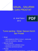 Tumor Ginjal Dan Saluran