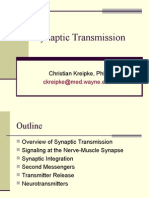 Synaptic Transmission: Christian Kreipke, PHD