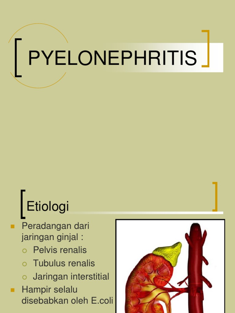Pyelonephritis | PDF
