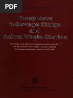 Phosphorus in Sewage Sludge