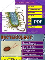 Cell Wall Plasma Membrane Ribosomes Nucleoid Capsule Pili Flagella Cytoplasm