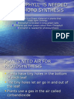 Chlorophyll Is Needed For Photo Synthesis