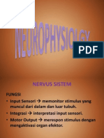 Neurophysiology