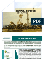 Brasil Biomassa Co-Geracao de Energia