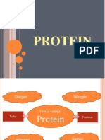 Protein (2)
