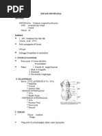 Download Lp Urethroplasty by must-herm4n SN190654365 doc pdf