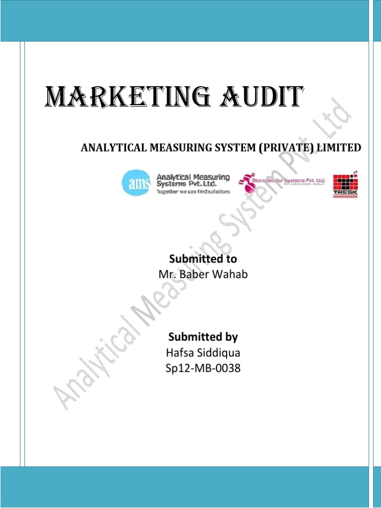 Marketing Audit of AMS Pakistan | PDF | Sales | Market Segmentation