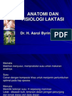 Anatomi Dan Fisiologi Laktasi