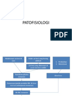 Patofisiologi Anemia Defisiensi Besi