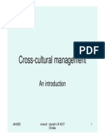 Cross Cultural Management