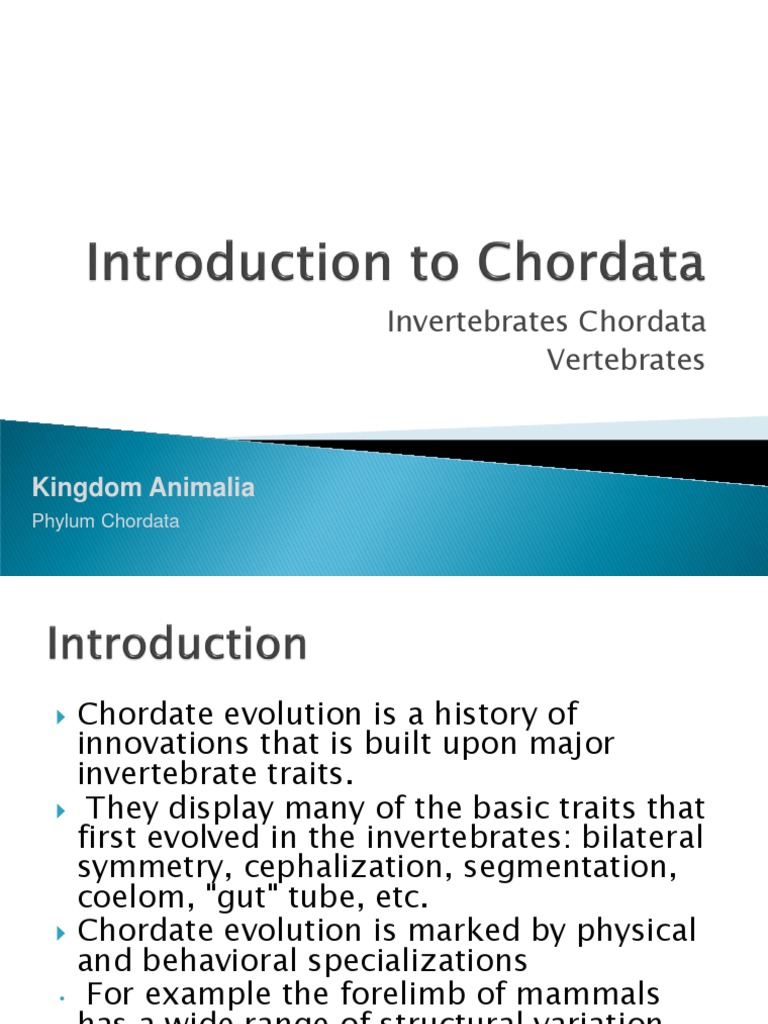 Introduction To Chordata | PDF | Fish | Amphibian