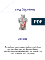 Alunos-Sistema Digestivo - Fisiologia