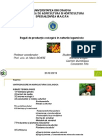 Prezentare-Reguli de Cultivare a Legumelor Eco