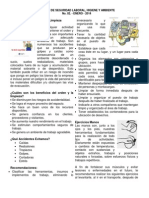 Boletin No 02 Generico