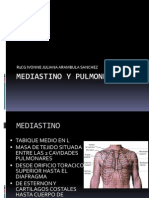 Mediastino y Pulmones