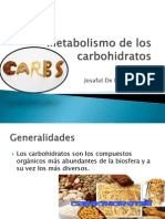 Metabolismo de Los Carbohidratos