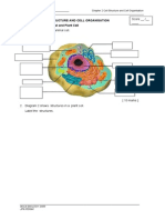 WORKSHEET 2.1 Animal and Plant Cell