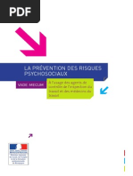 Prevention Risques Psychosociaux a Destination Des Inspecteurs Du Travail