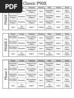 P90X CALENDER Classic Doubles Lean & MASS