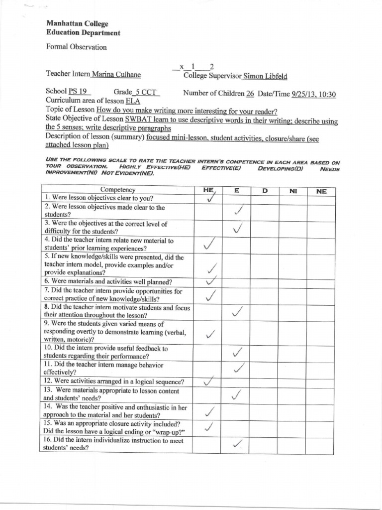 Observation and description essay picture