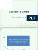 Organ Sistem Imun