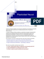 7 Plasticidad Neural