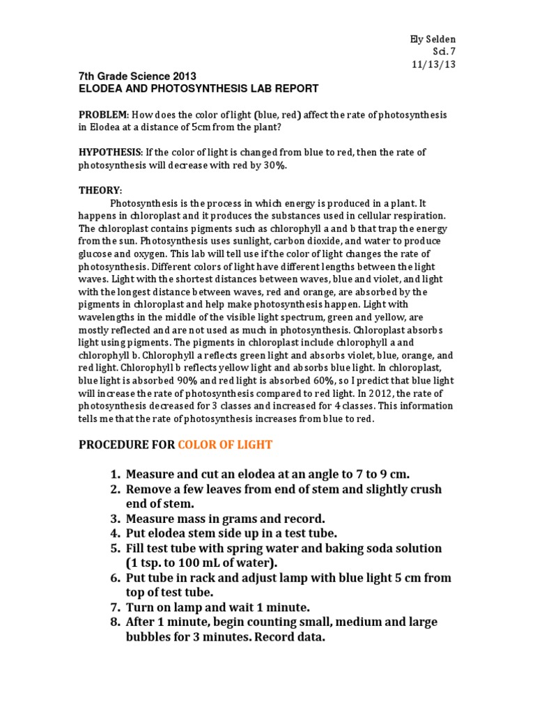7th Grade Science 2013 Elodea and Photosynthesis Lab Report PROBLEM
