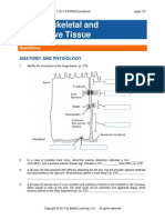 Musculoskeletal and Connective Tissue