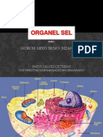 Organel Sel