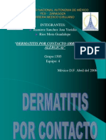 Dermatitis Alergica