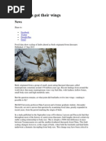 Alexander (2011) - Dinosaur To Bird Transition | PDF | Birds