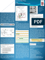 Research Poster Presentation