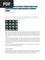 El Sexo Está en El Cerebro