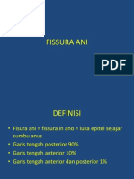 Fissura Ani: Definisi, Anatomi, Etiologi, dan Penatalaksanaan