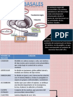 Nucleos Basales