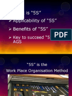 Applicability of "5S" What Is "5S": Key To Succeed "5S" in AGS