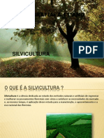 silvicultura-110630121005-phpapp02