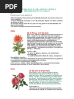 DESCUBRA QUAL É A SUA FLOR E CULTIVE