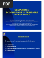 Ecografia Primer Trimestre