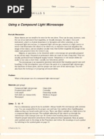 L2.5 Using A Compound Light Microscope Opt