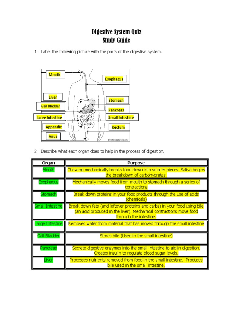 Digestive System Study Guide ANSWERED