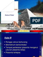  APN Fisiologi Kala 3