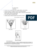 5 Sapotaceae