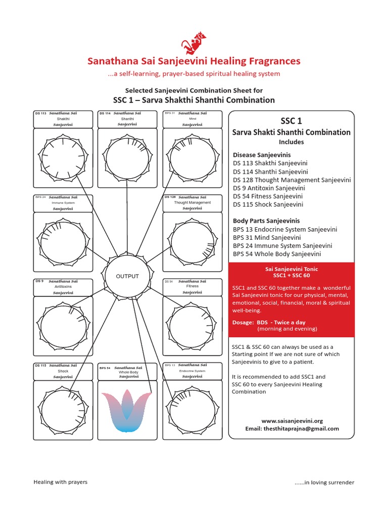 Sanathana Sai Sanjeevini Healing Guide | PDF | Self-Improvement
