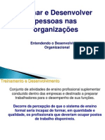 Treinar e Desenvolver Pessoas PDF