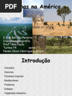 cesarebrunohenrique-110905081837-phpapp01